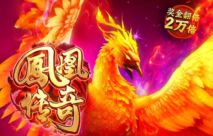 新澳门资料大全免费新鼬